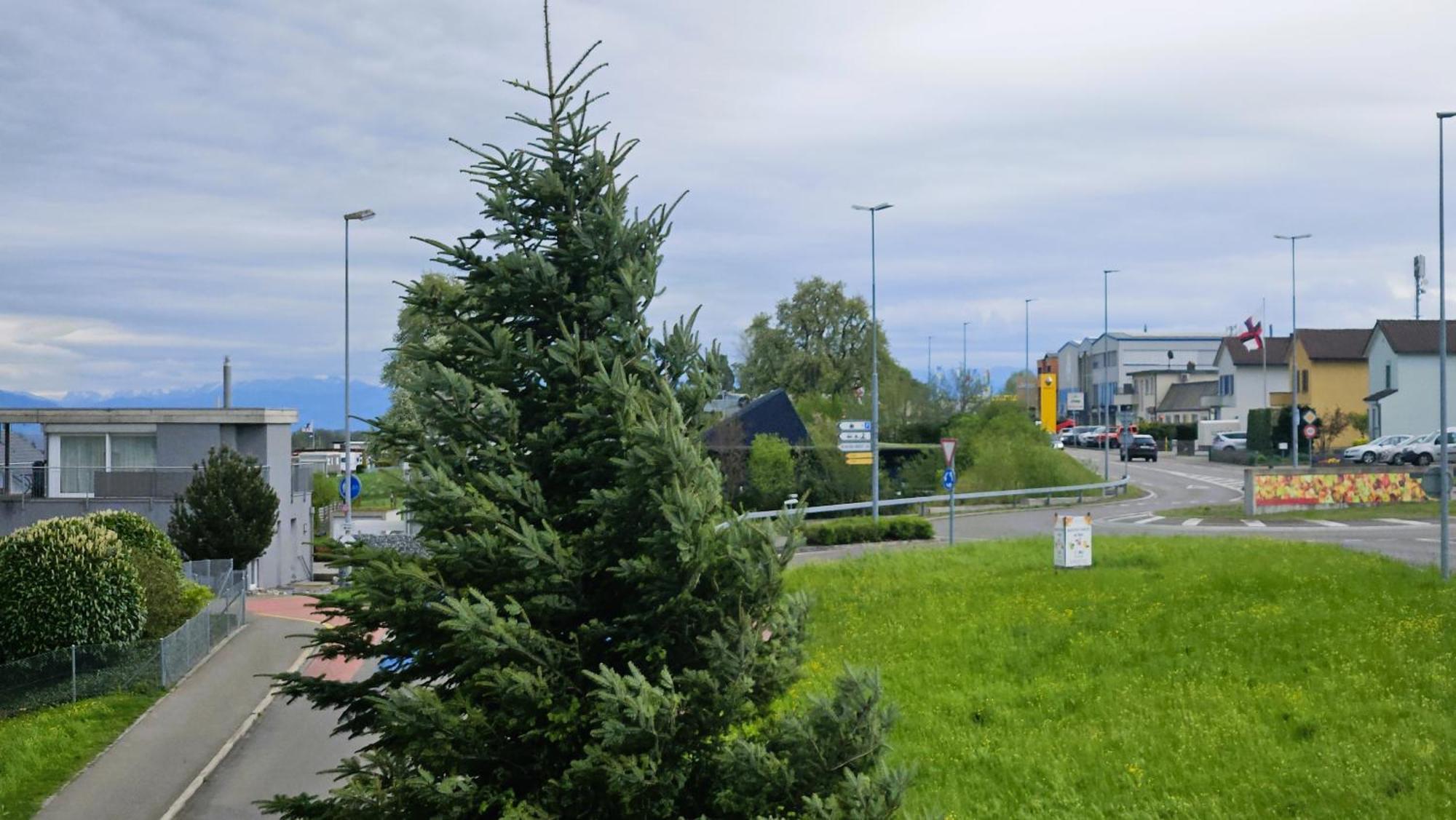 Mbar Hotel Altnau Buitenkant foto